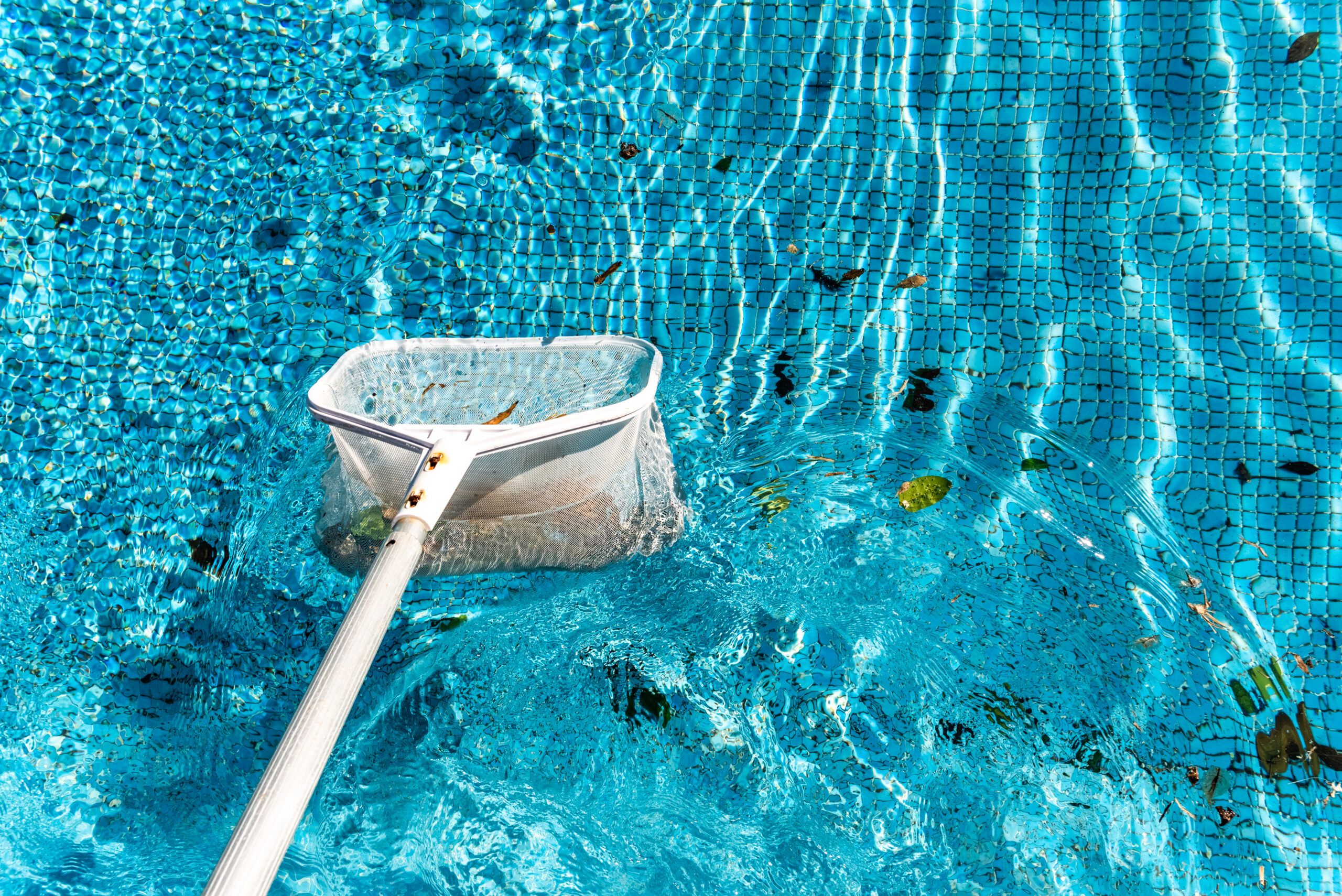 maintenance man using a pool net leaf skimmer rake 2024 10 18 09 43 36 utc scaled